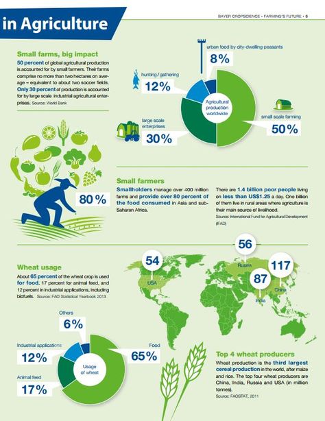 50% of #global #agriculture production is accounted by #small #farms. Their farms comprise no more than about two soccer fields. Formal Infographic, Frisian Flag, Agriculture Magazine, Agriculture Design, Exhibition Inspiration, Infographic Ideas, Carbon Capture, Smart Farm, Small Farms