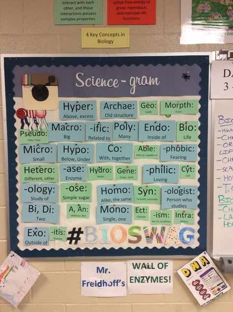 Having a Root Words Wall would definitely be beneficial to the students. Idk if I would do it exactly like this but it's a good start Biology Board Ideas, High School Classroom Decorating Ideas Science, Bulletin Board Ideas Science, Biology Classroom Ideas High School, Science Classroom Theme, Science Vocabulary Wall, Science Classroom Decorations Highschool, Biology Teacher Classroom, 6th Grade Science Classroom