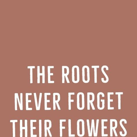 The Roots, Never Forget, Wisdom Quotes, Quotes, Flowers, On Instagram, Instagram