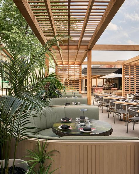 Chats • Instagram Hotel Rooftop Design, Rooftop Restaurant Design Terraces, Rooftop Bar Design, Reclaimed Decor, Rooftop Restaurant Design, Stylish Outdoor Furniture, Terrace Restaurant, Rooftop Terrace Design, Rooftop Design