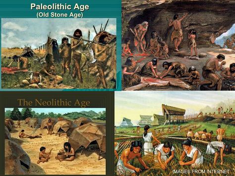 Paleothic Period, Paleolithic Tools, Neolithic Revolution, Paleolithic Period, Prehistoric Period, Domesticated Animals, Neolithic Period, Paleolithic Era, 6th Grade Social Studies