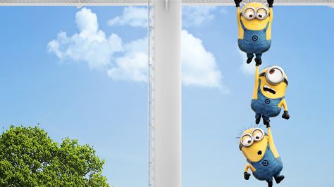 Best Wallpapers For Laptop, Minion Wallpaper Hd, 8k Resolution Wallpapers, Hd Wallpapers For Laptop, Minion Banana, Hd Wallpapers For Pc, Minion Movie, Cute Minions, Laptop Wallpaper Desktop Wallpapers