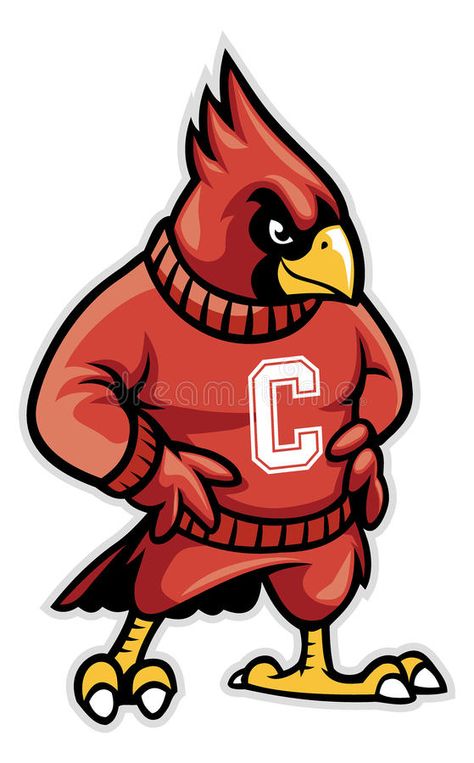 Cardinal school mascot. Vector of cardinal school mascot #Sponsored , #SPONSORED, #Paid, #school, #Vector, #mascot, #Cardinal Cardinal Drawing, School Spirit Shirts Designs, High School Mascots, Baseball Mascots, Eagle Mascot, Bulldog Mascot, Clemson Football, Esports Logo, Team Mascots