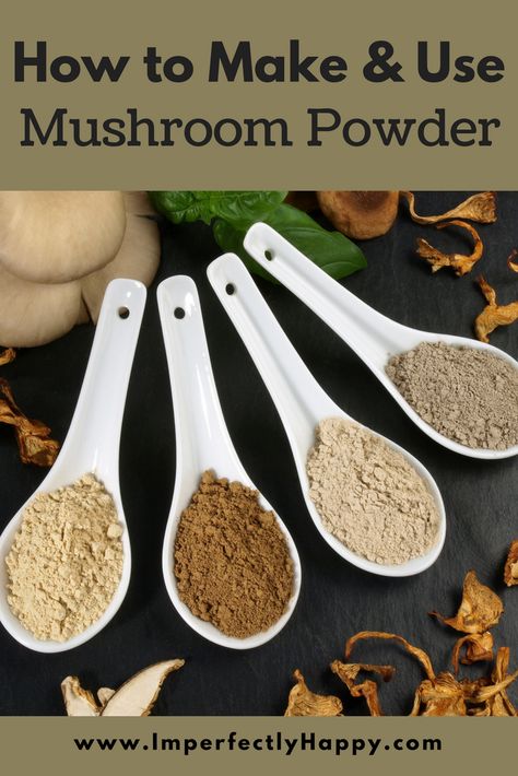 How to Make & Use Mushroom Powder. A great way to preserve mushrooms without canning! Preserve Mushrooms, Dehydrated Vegetables, Mushroom Powder, Dried Mushrooms, Homemade Spices, Homemade Seasonings, Dehydrated Food, Dehydrator Recipes, Mushroom Recipes