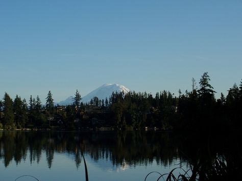 maple valley wa parks | of Maple Valley, WA - Pictures and Photo Gallery for Maple Valley ... Maple Valley Washington, Travel Spots, Emerald City, Local Community, Dream Decor, Beautiful Architecture, Travel Goals, The Community, The Valley