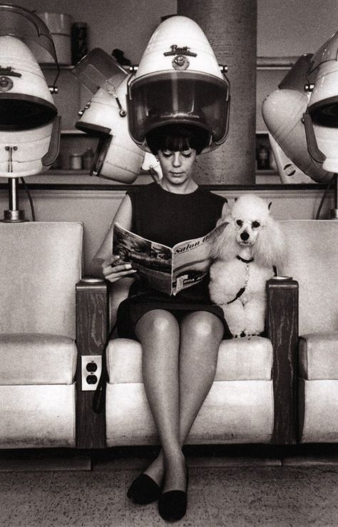 Woman and her poodle at the hair salon, New York City, c. 1965 (photographer unknown) Anjing Poodle, Vintage Hair Salons, Beauty Parlor, Photo Vintage, Poster Vintage, White Photo, Vintage Hairstyles, Vintage Photographs, Vintage Beauty