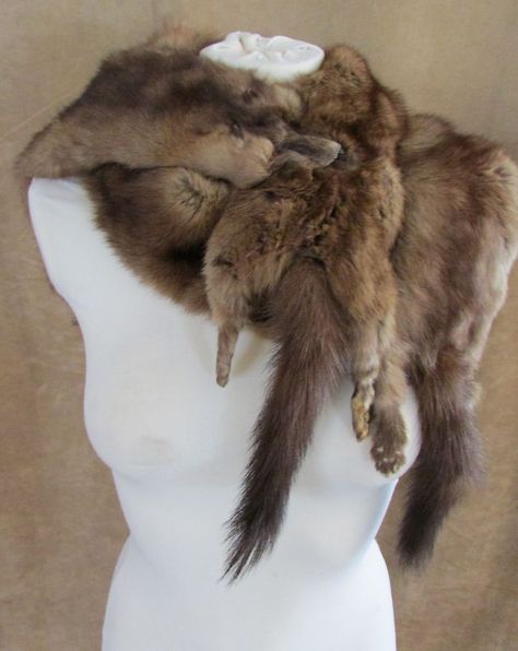 Mink Stole 3 Full pelt Body fur women shawl brown wrap coat vintage head feet #Unbranded #wrap Animal Pelt Clothing, Fur Skirt, Fox Scarf, Mink Stole, Spooky Stuff, Denim Coat Women, Fur Cape, Vintage Fox, College Stuff