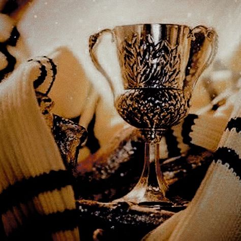 Hufflepuff Aesthetics, Marauders Slytherin, Quidditch Aesthetic, Hufflepuff Cup, Granger Hermione, Hermione Draco, Helga Hufflepuff, Four Houses Of Hogwarts, Medieval Witch