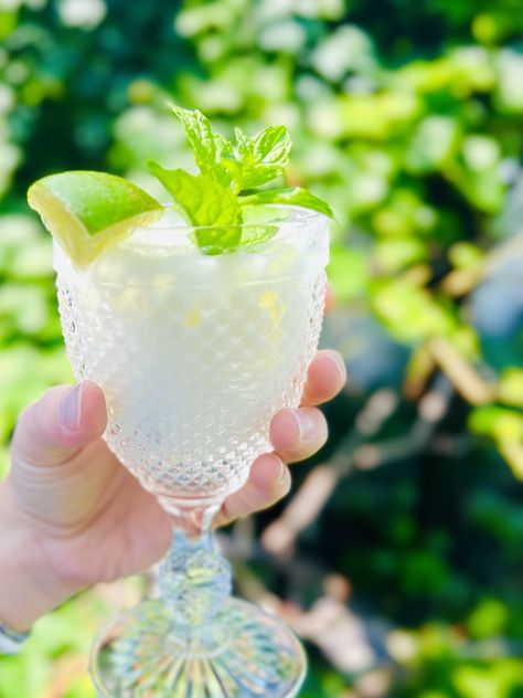 ~Egyptian Lemonade Refresher~ Egyptian Lemonade Recipe, Egyptian Drinks, Egyptian Lemonade, Lemonade Refresher, Poolside Drinks, Lemonade Recipes, Fresh Mint Leaves, Lemon Slice, Fresh Lime