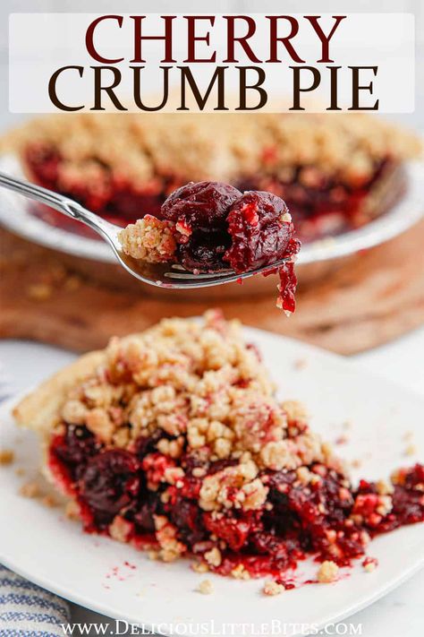 This easy-to-make Cherry Crumb Pie recipe is made with a fresh, tart cherry filling. It's topped with a brown sugar and cinnamon crumble and is the perfect additional to the holiday dessert table, as well as a seasonal treat! Frozen Tart Cherry Pie Recipe, Cherry Pie With Crumb Topping Easy, Cherry Pie With Crumble Topping, Crumb Top Cherry Pie, Cherry Pie Topping Crumble, Frozen Cherry Pie Recipe, Cherry Strawberry Pie, Cherry Crumble Pie Recipe, Crumb Topping For Cherry Pie