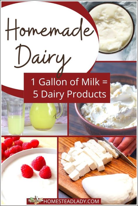 milk, whey, paneer, and other homemade dairy products What To Do With Extra Milk, Recipes Using Whole Milk, Powdered Milk Uses, Things To Make With Milk, Weston Price Recipes, Homemade Cheeses, Milk Ideas, Raw Dairy, Gallon Of Milk