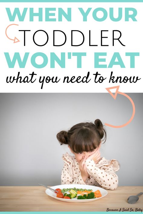 Toddler Wont Eat, Picky Eating Toddler, Newborn Advice, Picky Toddler, Toddler Schedule, Picky Eating, Toddler Discipline, Terrible Twos, Toddler Snacks