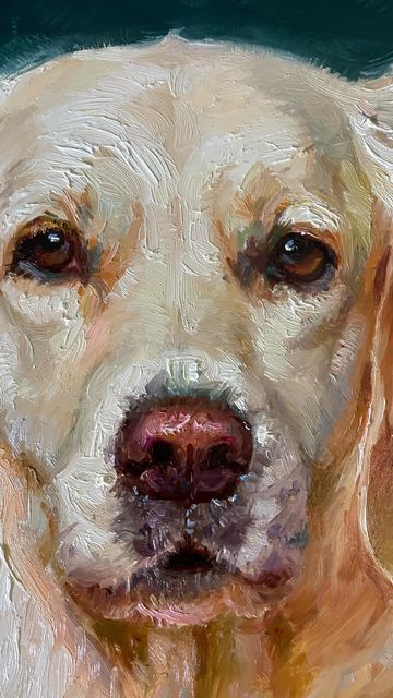 Regina Lyubovnaya on Instagram: "Golden Retriever is another start #5 in my series of 25 dogs. This is my plan, I am allowing myself to have fun with starts of 10 paintings than I have to go back and finish them all before starting any new ones. Working this way, will allow me to finish them relating to each other so when the hanged together as one painting of 25 parts there is a continuity and connectedness. It’s a good plan but will it work? #goldenretriever #instadog #dogportrait #comissio Artists Room, Hsc Art, Golden Retriever Painting, English Cream Golden Retriever, Dogs Painting, Cream Golden Retriever, Portraits Painting, Chien Golden Retriever, Pet Portrait Paintings