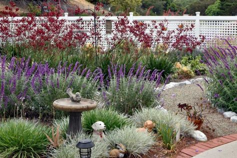 Santa Barbara Backyard Landscaping, Santa Barbara Garden Design, Santa Barbara Landscaping, Santa Barbara Landscape Design, Santa Barbara Garden, Backyard Hardscape, Santa Barbara House, Mexican Sage, Yard Makeover