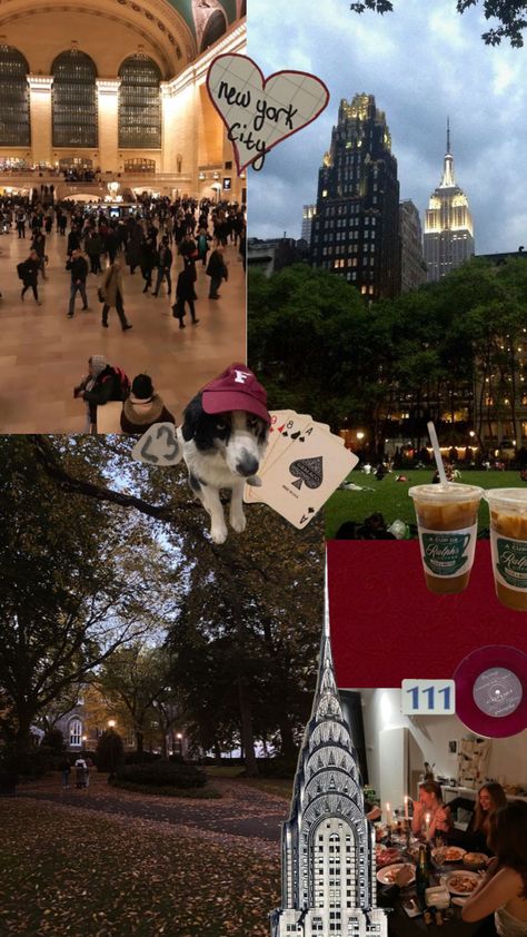 Fordham Law School, Fordham Aesthetic, Fordham University Aesthetic, Manifesting University, Gallaudet University, Northeastern University, John Jay, Fordham University, College Vision Board