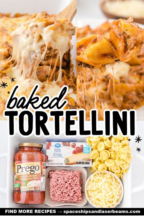 This creamy, baked tortellini casserole is loaded with cheese and will come out of your oven bubbling. A layer of gooey cheese on top of tender pasta in a meaty sauce will warm you up on even the coldest of days. Baked Tortellini With Cream Cheese, Easy Recipes With Cheese Tortellini, Tortellini Recipes Casserole, Dinner With Cheese Tortellini, Creamy Tortellini Casserole, Beefy Cheesy Tortellini Bake, Oven Baked Tortellini, Tortellini Recipes With Cream Cheese, Beef Tortellini Bake