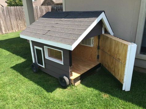 Dog House 10 Dog And Cat House Combo Outdoor, Diy Dog House With Ac, How To Build A Dog House Step By Step, Diy Dog House Outdoor, Simple Dog House, Dog House Diy Plans, Dog House Diy Outdoor, Dog House Ideas, Dog House Outdoor