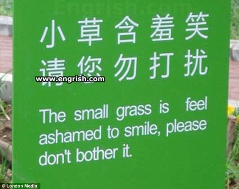 Tread lightly: Chinese people are known for their modesty but who would have guessed even the grass is ashamed to smile? Translation Fail, Funny Translations, Bad Translations, Lost In Translation, Funny Signs, Funny Images, That Way, I Laughed, The Globe