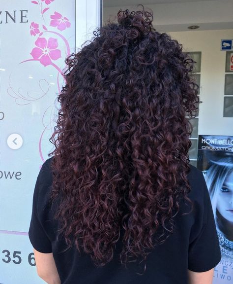 Burgundy Hair Color On Curly Hair, Curly Dark Hair Color Ideas, Mahagony Curly Hair, Wine Red Hair On Curly Hair, Dark Red Highlights In Black Hair Curly, Dark Burgandy Hair Curly, Dark Cherry Brown Hair Curly, Dark Maroon Curly Hair, Burgundy Brown Curly Hair