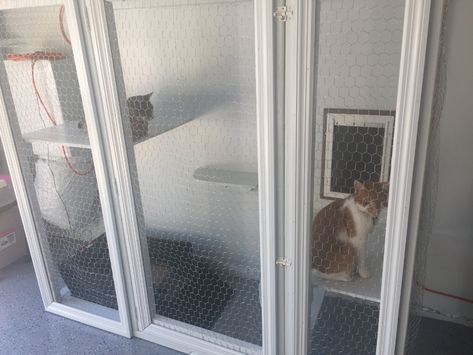 Outside Litter Box Enclosure, Cat Litter Garage Ideas, Litter Box In Garage Ideas, Cat Garage Ideas, Litter Box Garage, Garage Cat Enclosure, Kitty Litter Enclosure, Garage Litter Box Enclosure, Garage Cat Litter Box Ideas