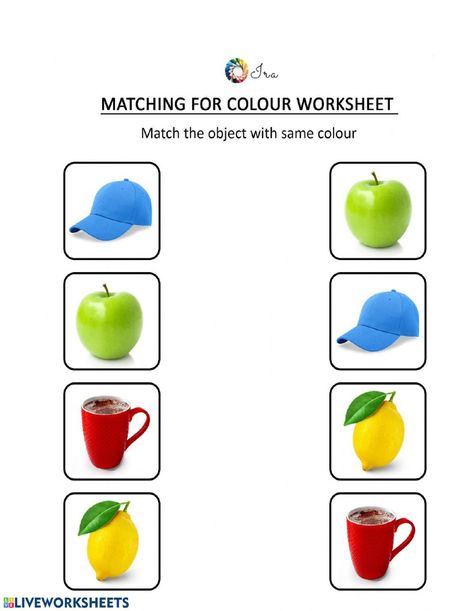 Color Worksheet, Preschool Color Activities, Color Worksheets For Preschool, Simple Objects, Preschool Activity Books, Shapes Worksheet Kindergarten, Basic Colours, Fun Worksheets For Kids, Matching Colours