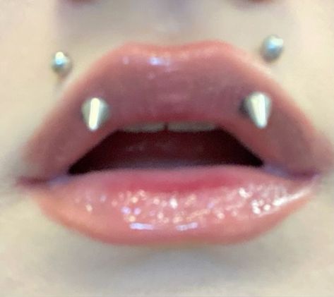 Angel Piercing Lips, Fang Pericings, Vampire Fangs Piercings, Angel Bites Piercing Aesthetic, Angle Bite Fangs Piercing, Angel Bite Piercing Fangs, Kitty Fangs Piercing, Angel Fangs Piercing With Snake Bites, Snakebite Piercing Aesthetic