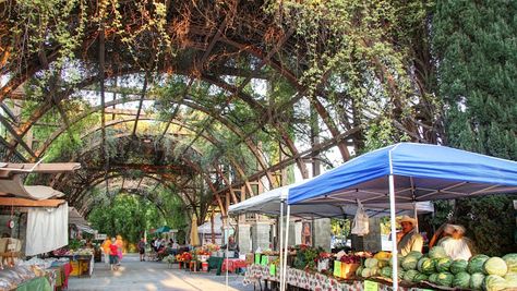 Vineyards Farmers Market, Fresno CA, Christopher Alexander, architect. Market Space Architecture, Market Place Architecture, Farmers Market Building, Open Air Market Architecture, Public Market Architecture, Farmers Market Architecture, Moss Board, Farmers Market Design, Architecture Analysis