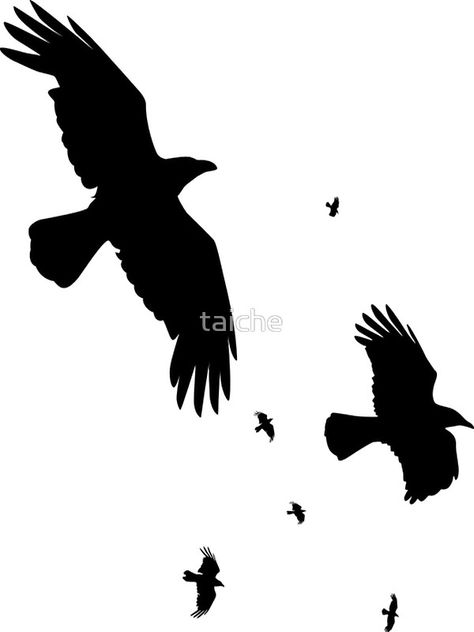 A Murder of Crows In Flight Vector Silhouette Sold ThankYou A Murder of #Crows In Flight Vector #Silhouette #Stickers by #taiche | @Redbubble #scrapbooking #glassstickers #decals  Also available as   #Apparel #Cases  #Skins #WallArt #HomeDecor #Bags #Stationary #UKHashtags #Bizitalk #ATSocialMedia https://www.redbubble.com/people/taiche/works/2735996-a-murder-of-crows-in-flight-vector-silhouette?asc=u&p=sticker&rel=carousel Crow Tattoo Design, Silhouette Curio, Raven Bird, Wrist Tattoos For Guys, Crow Tattoo, Flash Tattoo Designs, Black Birds, Crow Art, Raven Tattoo