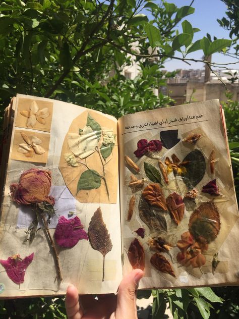 Pressed Flowers Book, Flower Press Book, Diy Travel Journal, Pressed Flower Crafts, Flower Press, Flower Collage, Diy Journal Books, Bio Art, Wreck This Journal