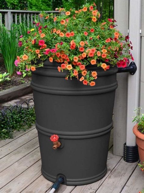 Rain Barrel System, Plantarea Legumelor, Barrels Diy, Rain Barrels, Water Barrel, Water Collection, Rainwater Harvesting, Rain Barrel, Rain Water Collection