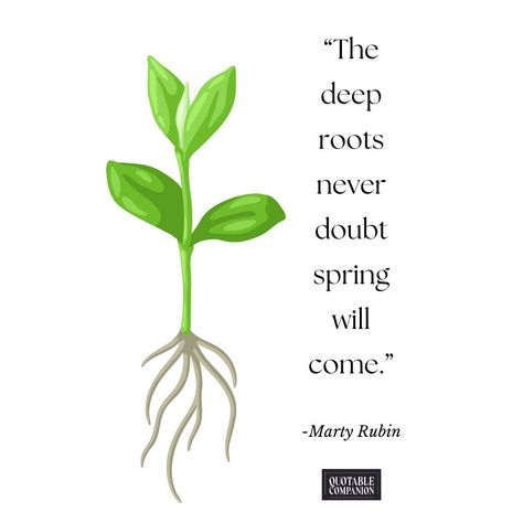 🌱✨Celebrate Spring with unwavering hope! Marty Rubin's words ring true: "The deep roots never doubt spring will come." Let's hold onto that faith as we embrace the season of renewal, trusting in our strength, compassion and brighter days ahead. Visit our website for more Spring quotes. #SpringHope #Renewal #PositiveVibes #Optimism #SpringMindset #springmakeover #springflowers #springcleaning #mindsethack #optimism #optimistic #postivemind #positivevibes #springreset #mindreset #Mindfulne... Quote About Faith, Stop Overthinking, Spring Quotes, Happy Weekend Quotes, Easter Quotes, Declutter Your Mind, Find Inner Peace, Journey Quotes, Deep Roots