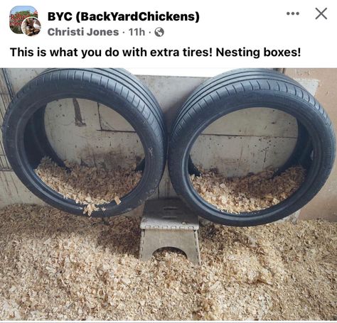 Tires In Chicken Coop, Tire Nesting Boxes, Chicken Feed Diy, Chicken Coop Garden, Backyard Chicken Coop Plans, Diy Chicken Coop Plans, Backyard Chicken Farming, Silkie Chickens, Chicken Life