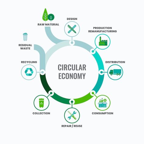 Free vector flat design circular economy... | Free Vector #Freepik #freevector #circular-economy #eco-friendly #ecology-infographic #eco Sustainability Advertising, Sustainable Infographic, Circular Infographic, Sustainability Infographic, Recycling Infographic, Economy Infographic, Workflow Design, Massage Room Design, Strategy Infographic