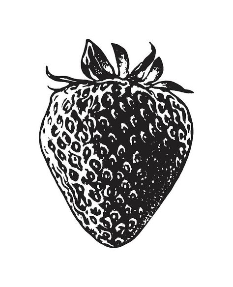 Strawberry Illustration, Strawberry Drawing, Strawberry Tattoo, Illustration Black And White, Small Tats, White Strawberry, Botanical Tattoo, Tattoo Portfolio, Soyut Sanat Tabloları