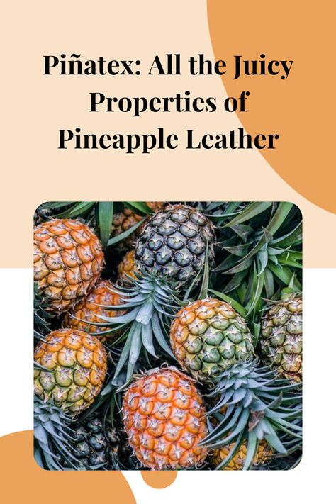 First time hearing about pineapple leather? We were surprised, too! Discover whether or not Piñatex can be considered a sustainable type of vegan leather. Homestead Meals, Sustainable Fashion Aesthetic, Types Of Vegans, Pineapple Leather, Conscious Lifestyle, Ethical Clothing Brands, Eco Friendly Clothing, Fashion Revolution, Conscious Consumer