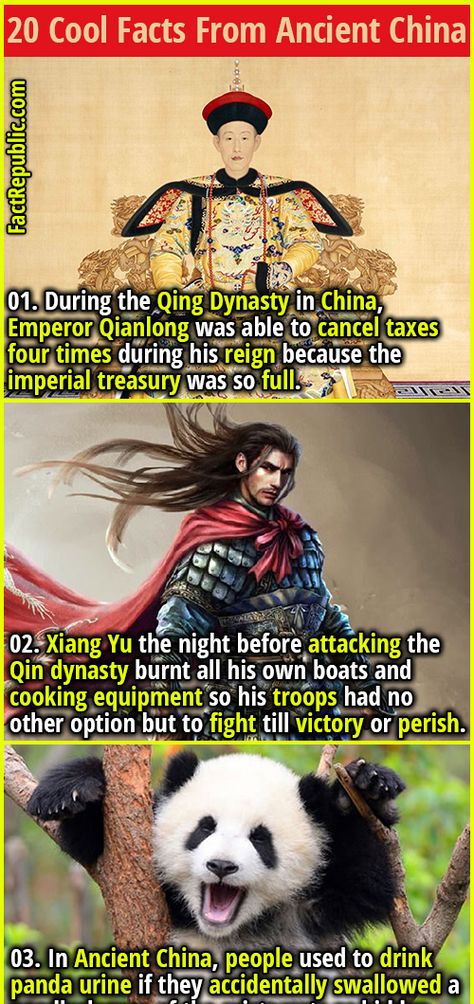 Chinese Dynasty Timeline, China Emperor, Homeschool Units, China Facts, Ancient China Art, Japan Facts, Best Shoujo Manga, Qin Dynasty, Cool Facts