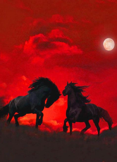 Horses at night.. Horses Running, Horse Wallpaper, Two Horses, Horse Aesthetic, Black Horses, Horse Silhouette, All The Pretty Horses, Equine Art, Black Horse