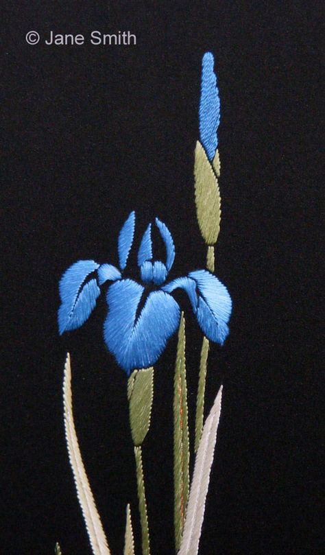 Knitted Poppies, Embroidery Jeans Diy, Iris Print, Chinese Embroidery, Beadwork Embroidery, Blue Iris, Border Embroidery Designs, Hand Embroidery Projects, Hand Embroidery Flowers