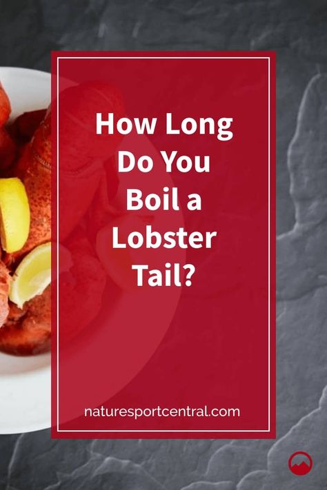 How Long Do You Boil a Lobster Tail? How Long To Boil Lobster Tails, Boiled Lobster Tail Recipe, Boil Lobster Tail, Boiled Lobster, Cooking Frozen Lobster Tails, Crayfish Tails, Frozen Lobster Tails, Cook Lobster, Broil Lobster Tail