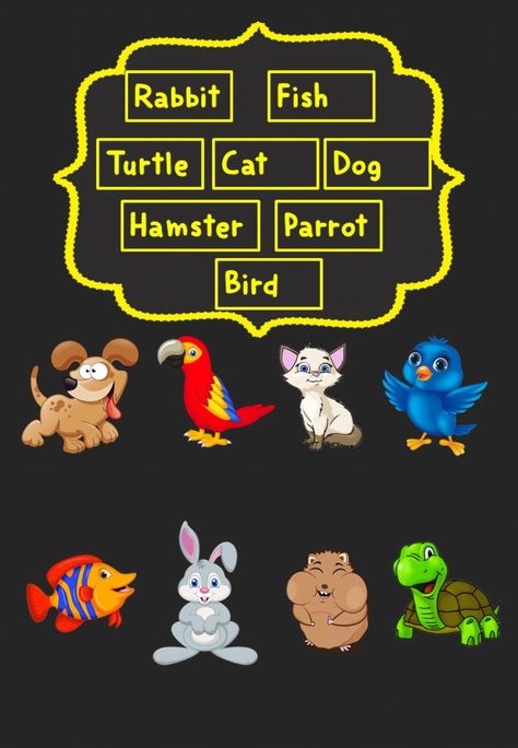 Pets matching worksheet - Interactive worksheet Mickey Coloring Pages, Matching Worksheets, English As A Second Language (esl), Parrot Bird, English As A Second Language, School Subjects, Matching Games, Online Workouts, Google Classroom