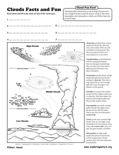 Naming Clouds Activity Sheet -- Exploring Nature Educational Resource Clouds Worksheet, Clouds Activity, Cc Coloring, Weather Unit Study, Cloud Types, Types Of Clouds, Cloud Watching, Cloud Activities, Rain Company