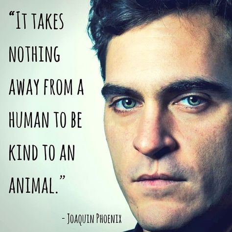 Lyns✨ on Twitter: "It takes nothing away from a human to be kind to an animal~Joaquin Phoenix❤️✌ #MCM #BeKindToAll #MondayMotivation https://t.co/AkRfYvtewK" Phoenix Quotes, Acting Quotes, Animal Activism, Animal Advocacy, Joaquin Phoenix, Reminder Quotes, Animal Quotes, Animal Rights, Dog Quotes