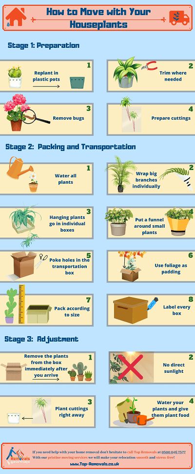 How To Transport Plants When Moving, Moving Plants Long Distance, Montana Western, Moving Plants, Moving Guide, House Models, University Of Montana, House Move, City Baby