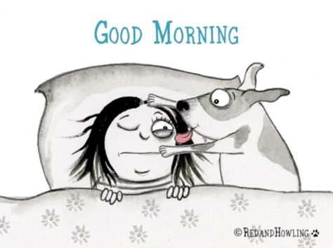 Good Morning Dog, Funny Morning, Crazy Dog Lady, Morning Gif, Dog Lady, Good Morning Gif, January 27, Crazy Dog, Cartoon Dog