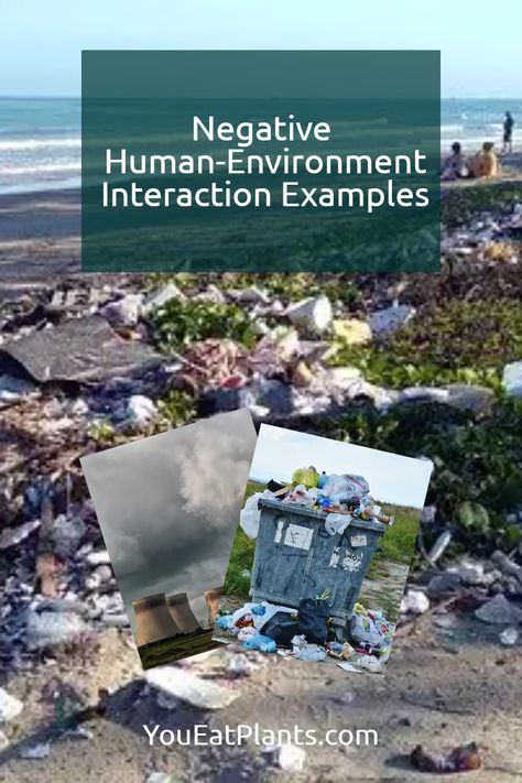 Human Environment Interaction, Human Environment, Ozone Layer, As Humans, World Water, Weather And Climate, Human Activity, Water Resources, Positive And Negative