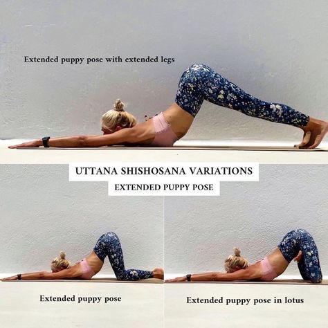 Extended Puppy Pose Yoga, Extended Puppy Pose, Heart Openers Yoga, Puppy Pose Yoga, Yoga Teaching, Beginner Ab Workout, Puppy Pose, Yoga Poses Advanced, Yoga School