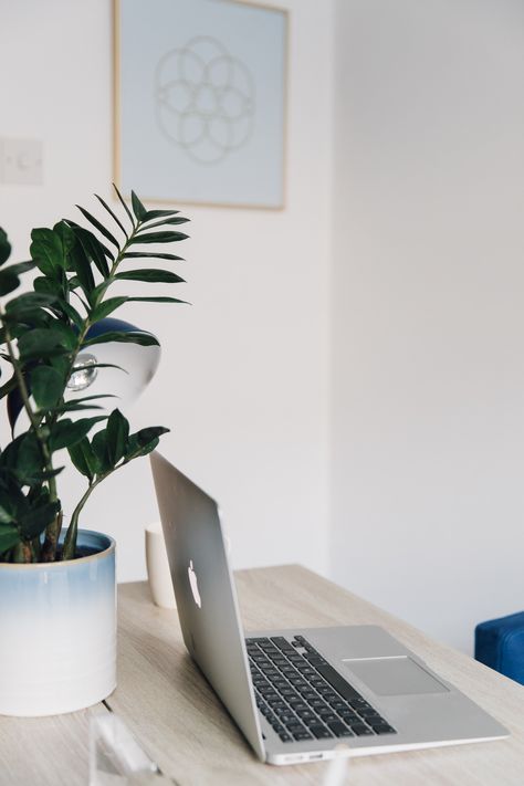 Clean Asthetic Picture, Working From Laptop Aesthetic, Girl Working On Laptop Aesthetic, Working With Laptop Photography, Girls Working On Laptop, Woman Working On Laptop, Personal Branding Shoot, Ash Photography, Editorial Branding