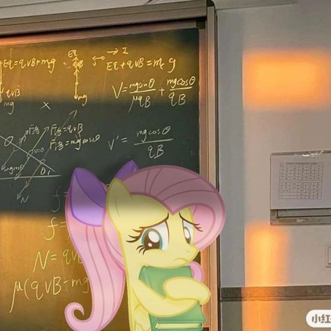 Mlp Background, Fluttershy Human, My Little Pony Poster, How To Disappear, Mlp Characters, My Lil Pony, Mlp Fan Art, My Little Pony Comic, Anime Cover Photo