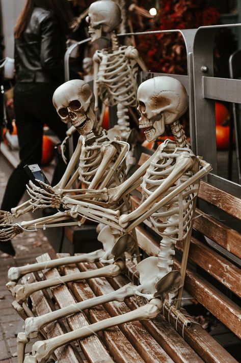 Skeletons Sitting On Bench photography skeleton halloween halloween images halloween images 2022 halloween pictures for 2022 halloween pinterest images halloween pinterest ideas 2022 halloween pinterest ideas Posable Skeleton, Halloween Tablescape, Dog Skeleton, Travel Trailer Remodel, Cheap Halloween, Creepy Clown, Camper Decor, Halloween Porch, Tiny Dogs