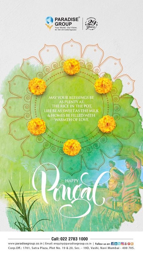 Paradise Group wishes you all a very Happy Pongal  #Pongal #Pongal2020 #Festival #Celebration #Occasion #Divine #HarvestFestival Pongal Poster Design, Pongal Creatives, Pongal Creative Ads, Pongal Poster, Diwali Graphics, Haldi Invitation, Diwali Creative, Happy Pongal Wishes, Pongal Wishes